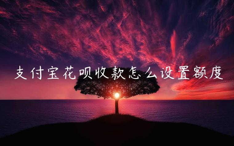 支付寶花唄收款怎么設(shè)置額度